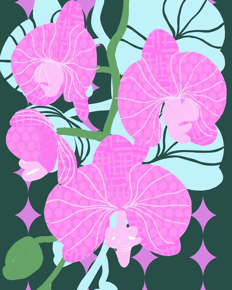 Pattern 6 by Fiona Solley