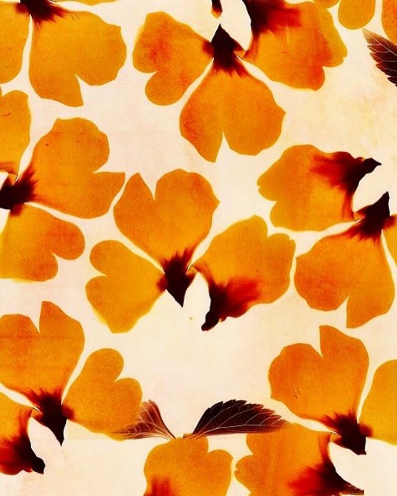 Pattern 6 by Spiral Print Studio