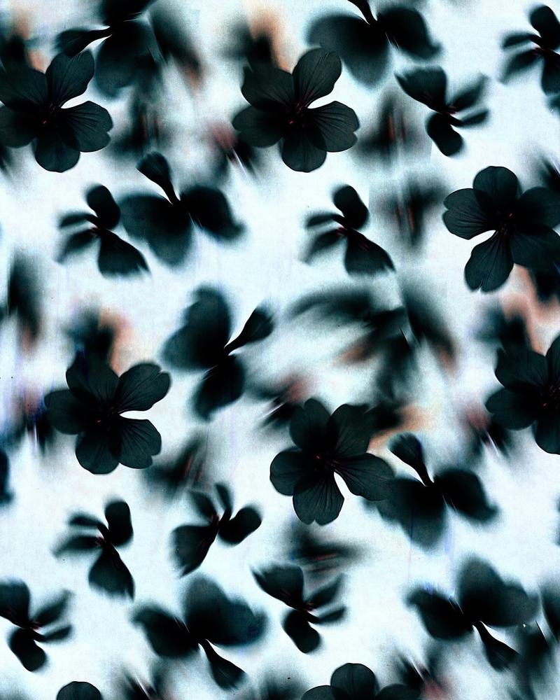 Pattern 8 by Spiral Print Studio