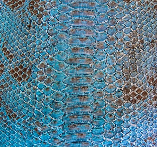 Crocodile Pattern example 1