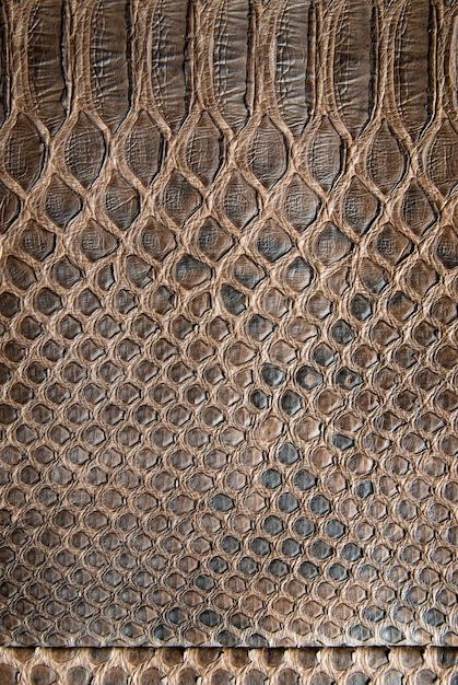Crocodile Pattern example 2