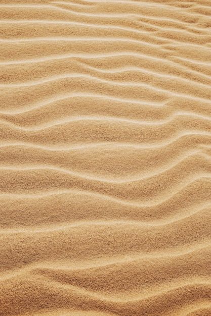 Patterns in nature Pattern example 4