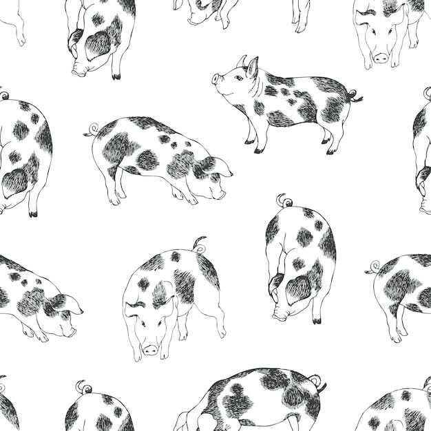 Pig Pattern example 2