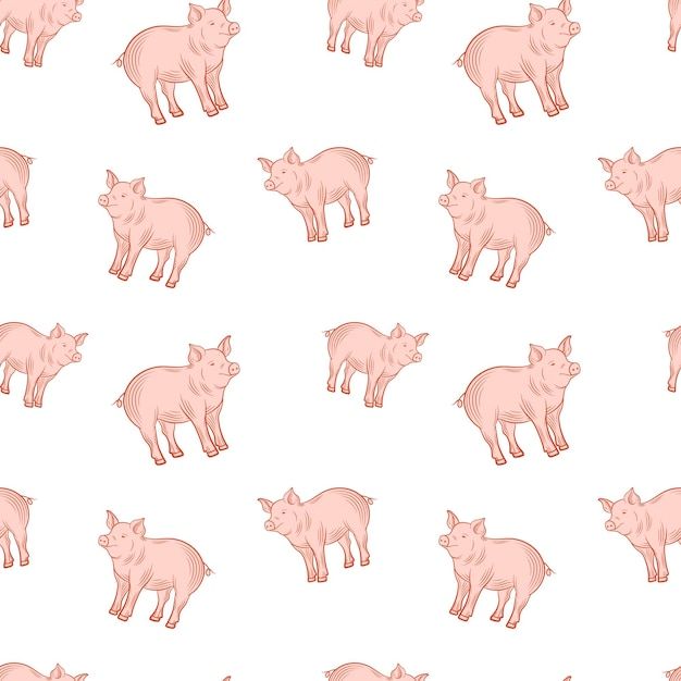 Pig Pattern example 4