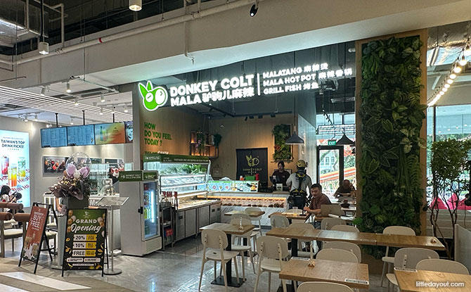 Donkey Colt Mala - Dog Cafes