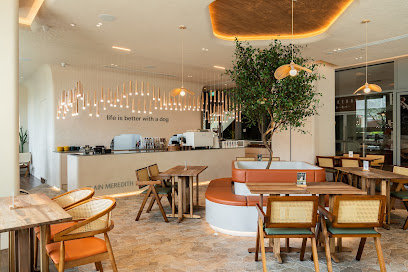 Plain Meredith - dog cafes in Holland Village, Singapore