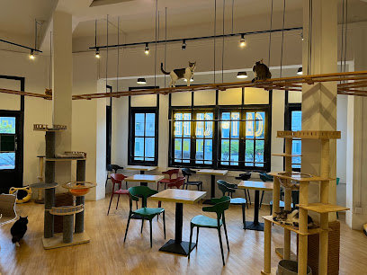 The Cat Cafe - Bugis - Resident Cat Cafes