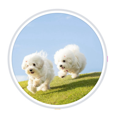 Raffles Courtyard By Bailey & Ginger