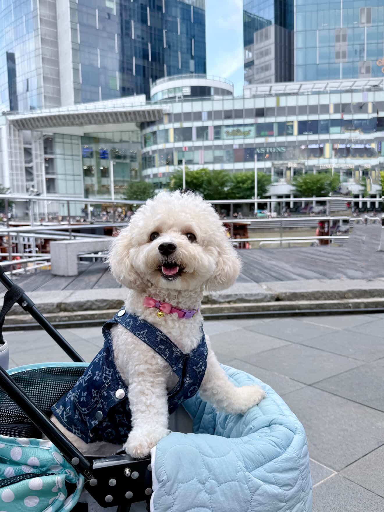 Milo posing with Clarke Quay Central in the background