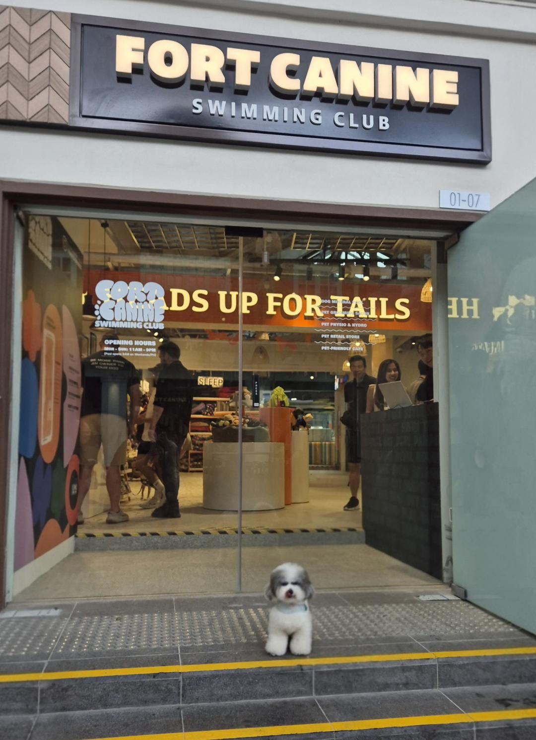 Hopey at the entrance of Fort Canine Swimming Club