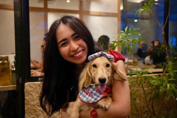 pawwhere hero image taro dachshund with owner
