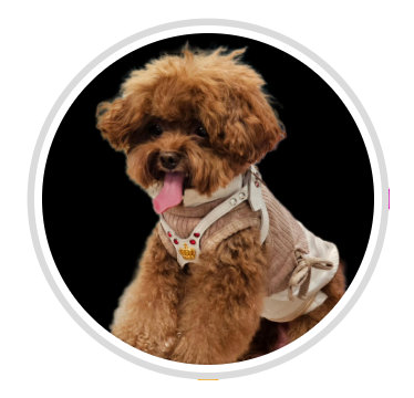 Wanton Noodle House By Teddy