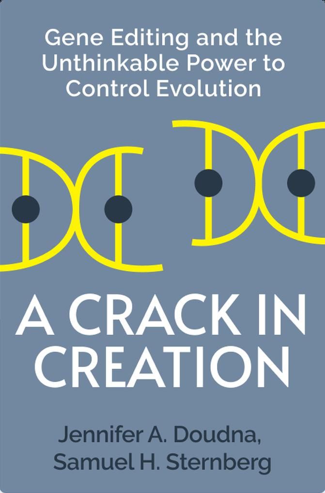 A Crack in Creation