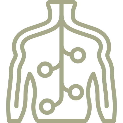 Nerve System