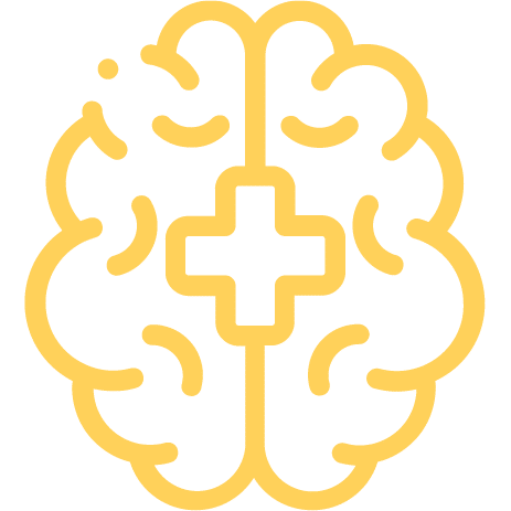 Brain Function