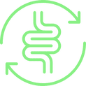 Enhanced Gut Health & Digestion