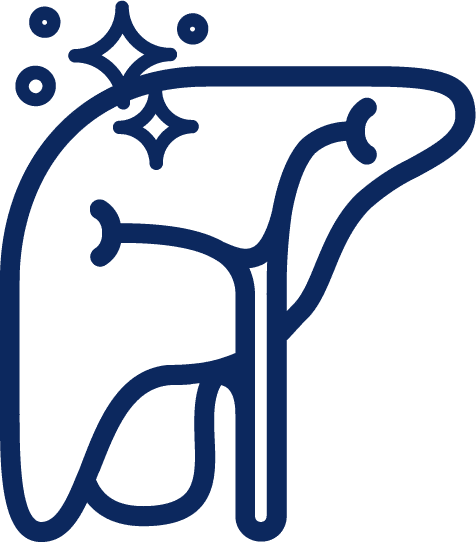 Liver Health