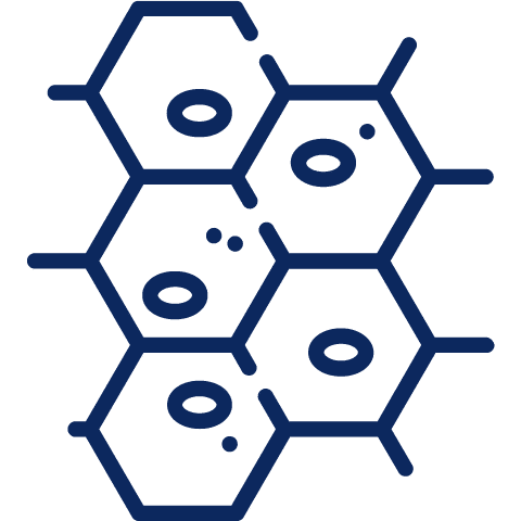 Cellular Health