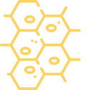 Connective Tissue Health