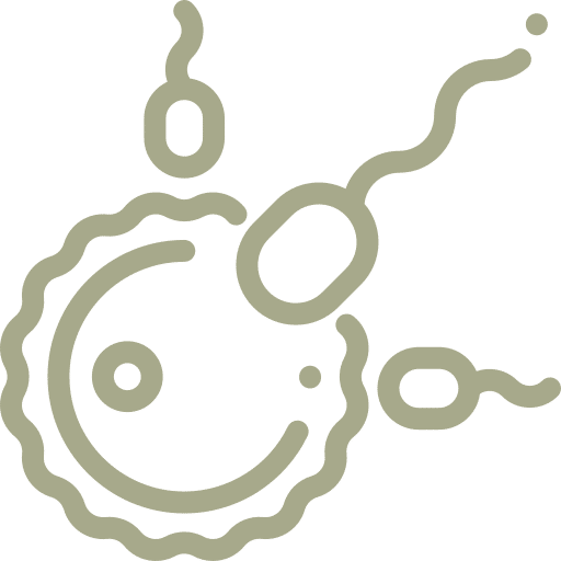 Reproductive Health
