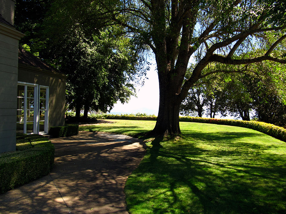 Spring Mountain Vineyard Photo Gallery