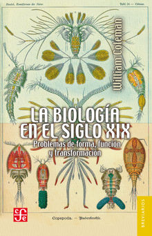 La biologa en el siglo XIX.  Georgina Guerrero