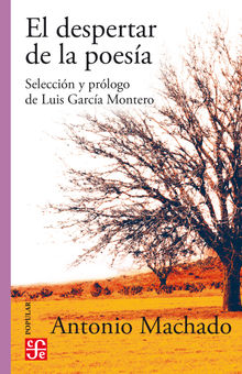 El despertar de la poesa.  Antonio Machado