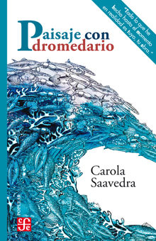 Paisaje con dromedario.  Carola Saavedra