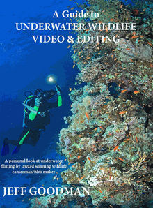 A Guide to Underwater Wildlife Video & Editing.  Jeff Goodman