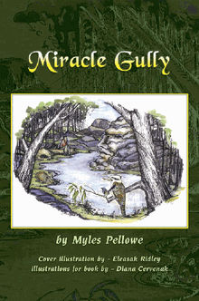 Miracle Gully.  Myles Pellowe