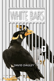 White Bars.  David Dagley