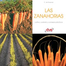 Las zanahorias.  Chantal de Rosamel