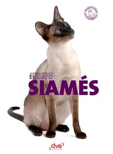 El gato siams.  Mariolina Cappelletti