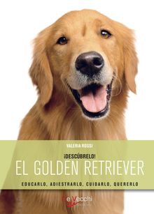 El golden retriever.  Valeria Rossi