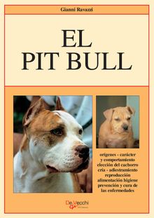 El Pit Bull.  Gianni Ravazzi