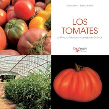 Los tomates - cultivo, cuidados y condejos prácticos.  Enrica Boffelli