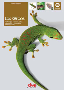 Los gecos .  Massimo Millefanti