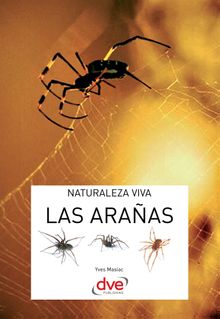 Las araas.  Yves Masiac