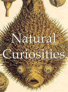 Natural Curiosities.  Alfred Russel Wallace