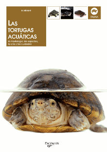 Las tortugas acuticas.  Massimo Millefanti