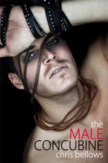 The Male Concubine.  Chris Bellows