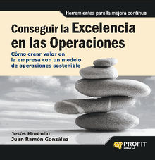 Conseguir la excelencia en las operaciones. Ebook.  JESUS MONTOLIU FAYAS