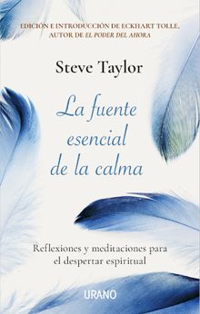 La fuente esencial de la calma.  Steve Taylor