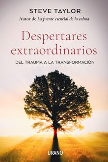 Despertares extraordinarios.  Steve Taylor