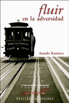 Fluir en la adversidad.  Amado Ramrez Villafez