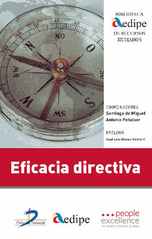 Eficacia directiva.  Santiago Pealver Martnez