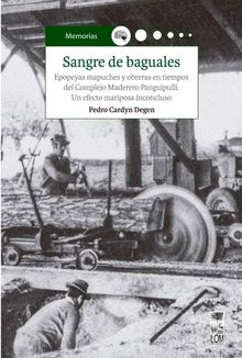 Sangre de baguales.   Pedro Cardyn Degen