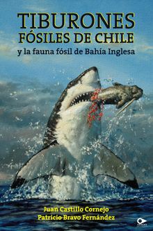 Tiburones fsiles de Chile y la fauna fsil de Baha Inglesa.   Juan Castillo Cornejo