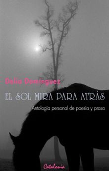 El sol mira para atrs.   Delia Domnguez