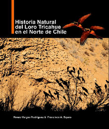 Historia natural del Loro Tricahue en el norte de Chile .  Renzo Vargas